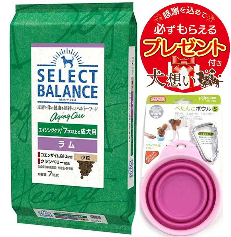 【プレゼント付】セレクトバランス エイジングケア ラム 小粒 ７才以上の成犬用 7kg