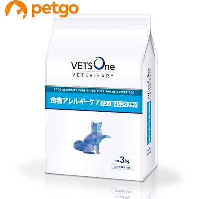 ポケモン 初期 金銀 ポストカード アートカード 16枚 【公式通販】