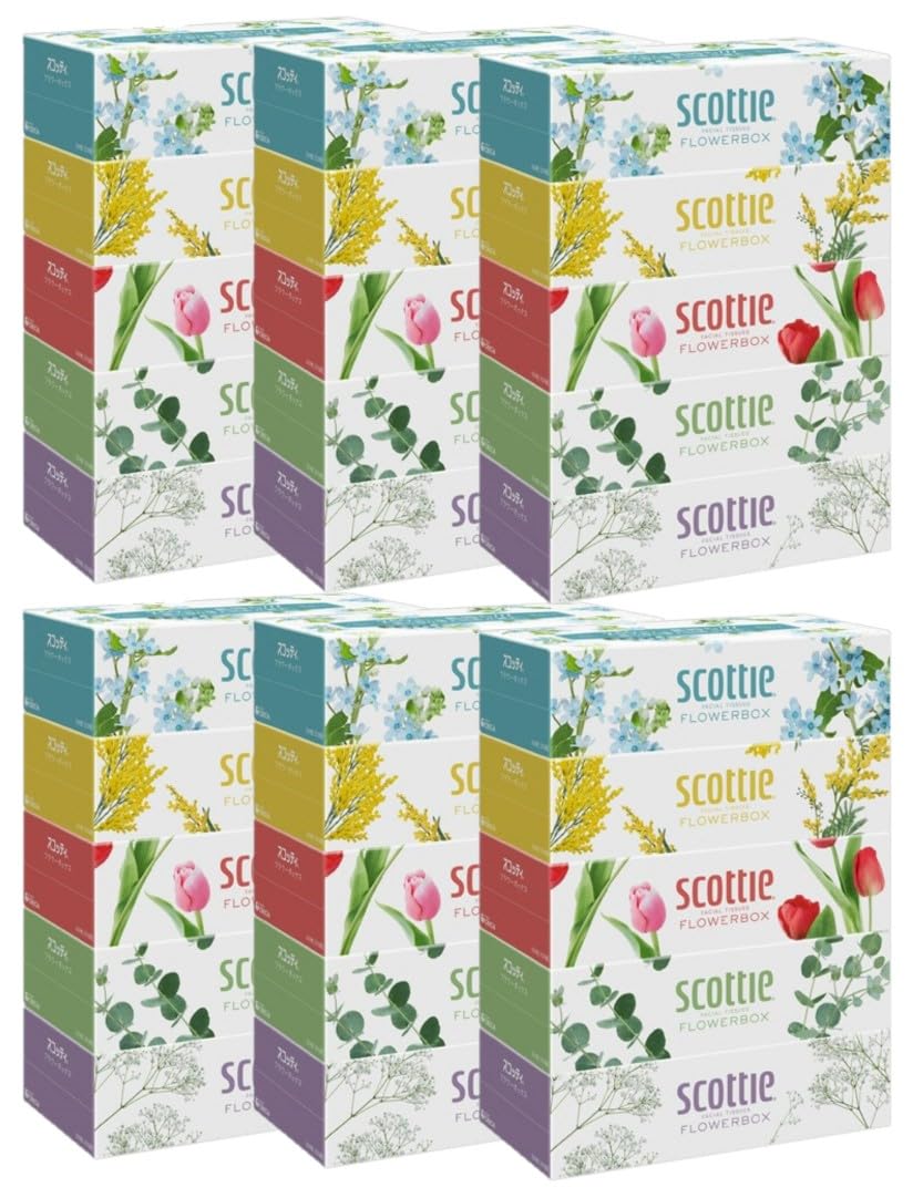 スコッティ フラワーボックス 長持ちティシュー 500枚(250組) 5箱入 ×6パック