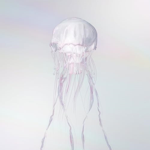 SCANDAL ／ LUMINOUS(完全生産限定盤)(Blu-ray Disc付) (CD) VIZL-2304