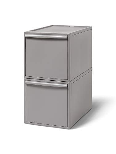 ライクイット (like-it) 収納ボックス クローゼットシステム 引出し (L) 2個組 オールグレー CS-D3 2P 奥行き52cm 衣