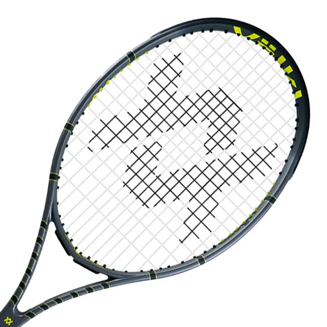 フォルクル(Volkl) 2024 Vostra V10 ボストラ V10 (300g) 日本正規代理店品 硬式テニスラケット V14110-グレー(24y12m)AC