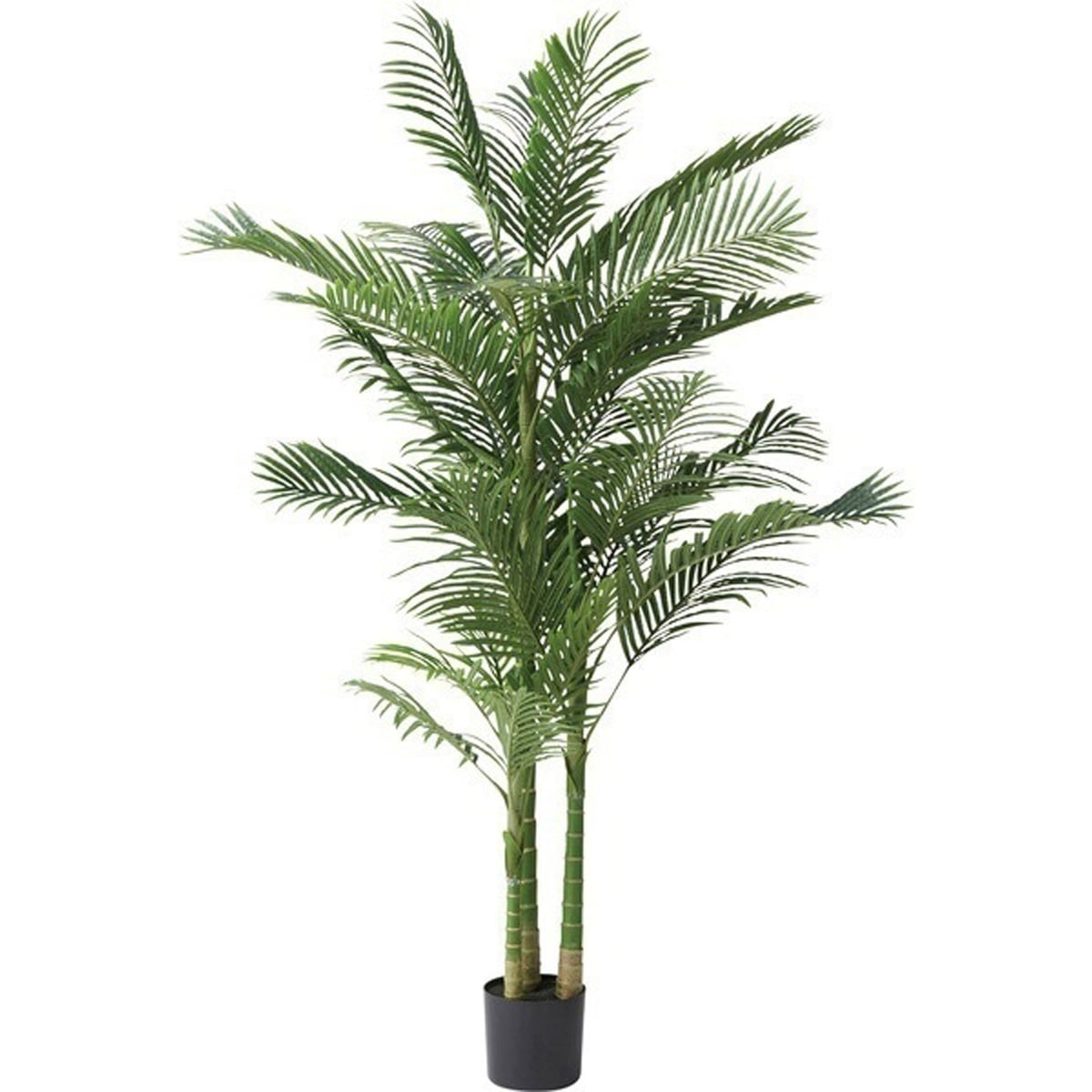 フェイクグリーン アレカヤシ ポリ塩化ビニル 合成樹脂