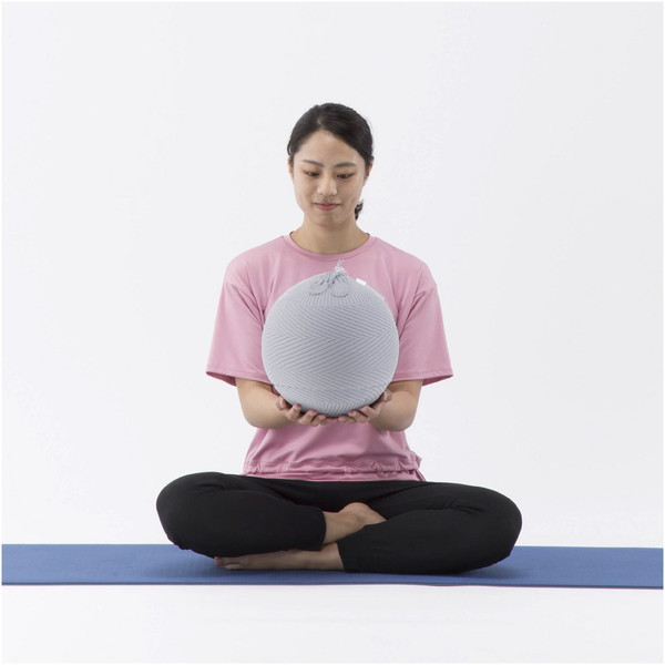 ボールドウィンの小形機関車 金田茂裕 機関車史シリーズ 3