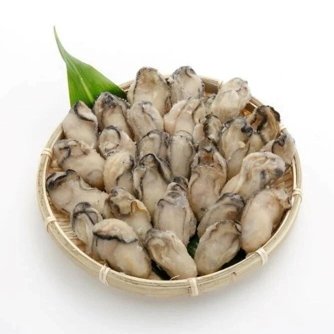 広島牡蠣 殻付 広島 海産物 アミスイ 冷凍スチーム牡蠣 1kg