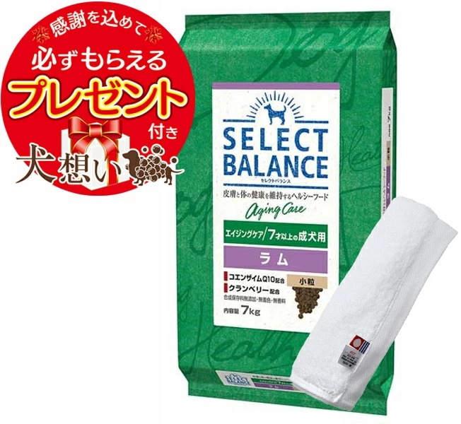 【プレゼント付】セレクトバランス エイジングケア ラム 小粒 ７才以上の成犬用 7kg【犬想いオリジナル今治ハンドタオルセット】【タオルカラー ホワイト】【正規品】