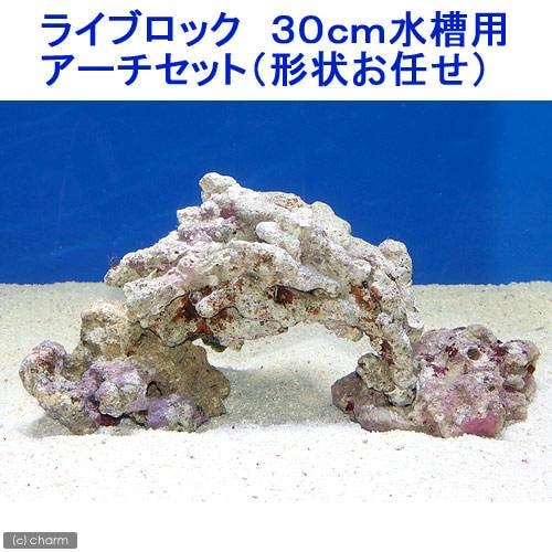 （海水魚）ライブロック　３０ｃｍ水槽用アーチセット（形状お任せ）　ＣＲＣ26―55―20―30―00