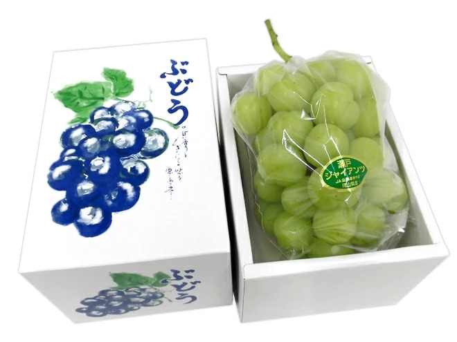 岡山産 =瀬戸ジャイアンツ= 秀品 超大房 約900g-1kg 化粧箱 ぶどう 予約 9月以降 5,933円