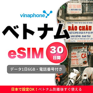 【Vinaphone公式品】ベトナム eSIM 30日間 1日6GBデータ 電話番号付き 5G/4G 通話・SMS送受信可能 ご購入日より30日以内に開通・使用必須 30日プラン