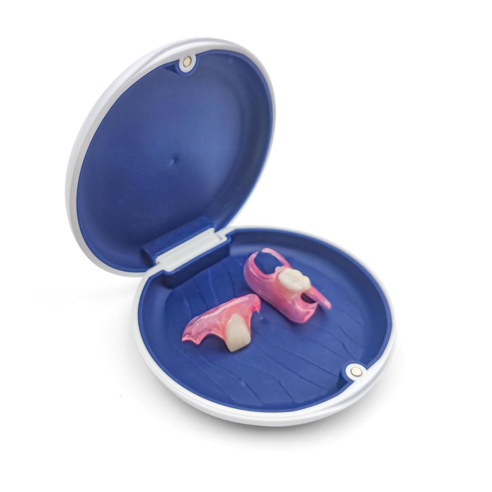 Dentellea カスタム 入れ歯 部分 取り外し可能 義歯 携帯便利 自然な見た目 (2)
