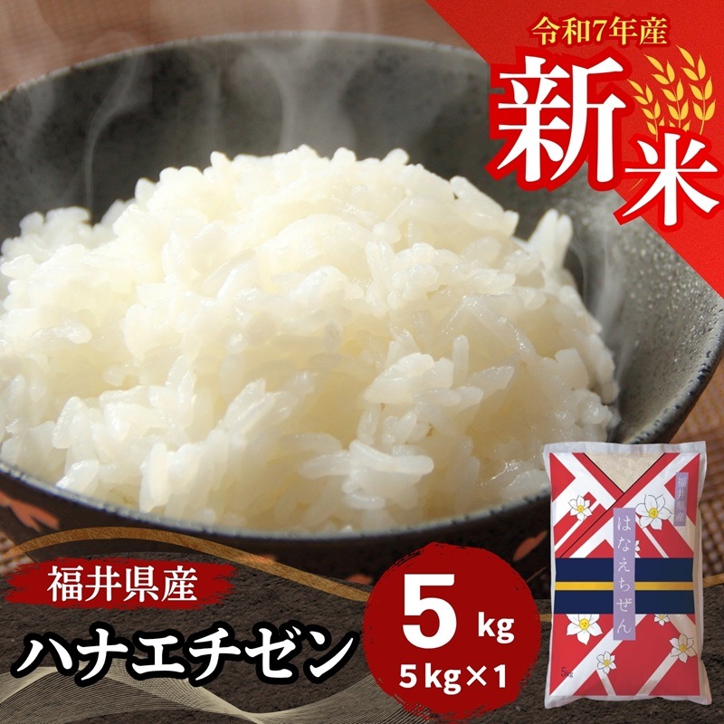 【数量限定】新米 福井県産ハナエチゼン 5kg 白米 令和7年産