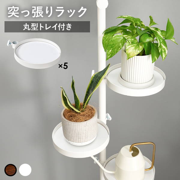 突っ張り棒 収納棚 突っ張りラック ディスプレイ つっぱりポール 丸型トレイ5個 6点セット