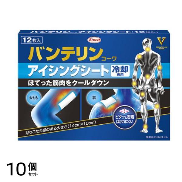 バンテリンコーワ アイシングシート 冷却専用 12枚入 10個セット