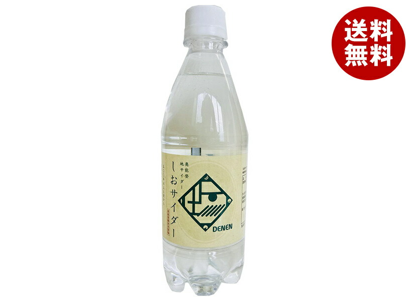 Ante(アンテ) 奥能 登地サイダー しおサイダー 500mlPET×24本入×(2ケース)