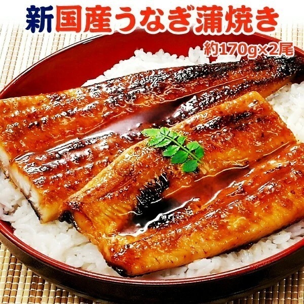 新 国産 うなぎ蒲焼き 約170g2尾 鹿児島産