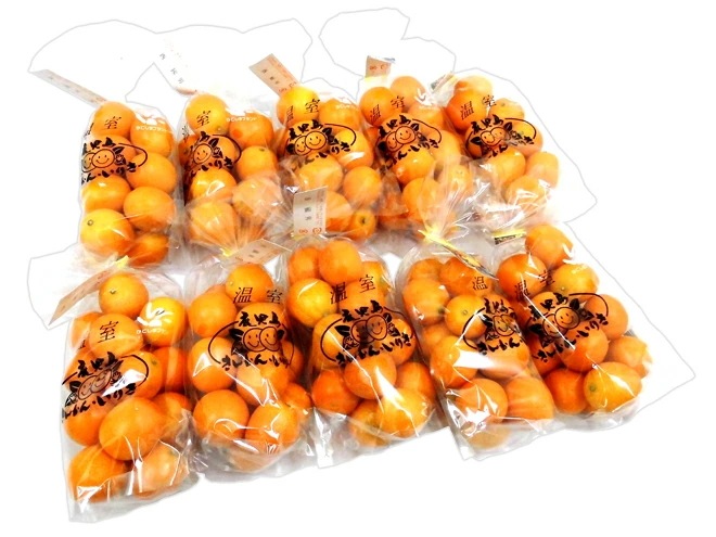 鹿児島県入来産 =完熟きんかん いりき= 秀品 L-3Lサイズ 約250g x10pc 予約 12月以降 5,442円
