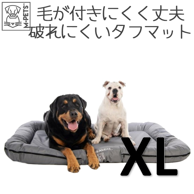 【M-PETS】FALSTERクッション　XLサイズ