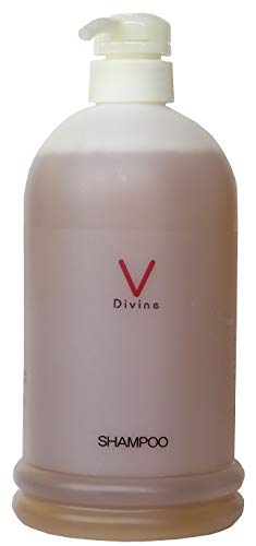 サイズ：1000ml ディバイン ナノ シャンプーV 1000ml