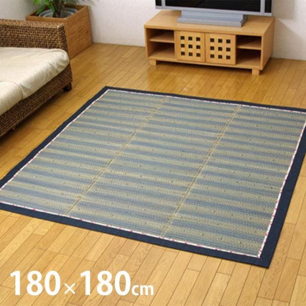 DX京物語 い草 い草ラグ カーペット 和室 リビング お手入れ簡単 夏 抗菌防臭 調湿 消臭 空気清浄 汚れにくいG8143020