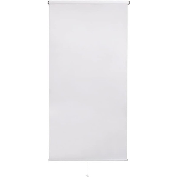 ホームテイスト SH-16-S90 壁空け不要!つっぱりロールスクリーン 幅90cm(遮光タイプ) WH ホワイト メーカー直送