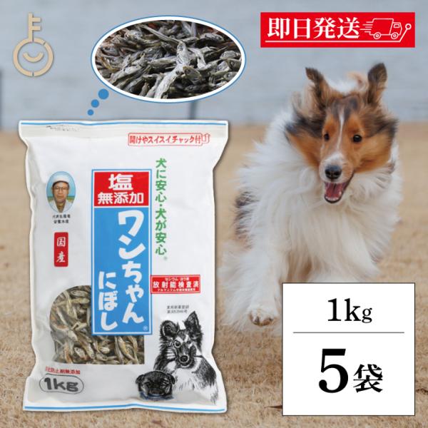 犬 おやつ 塩無添加 国産 ワンちゃんにぼし お徳用 1kg 5個 サカモトにぼし 塩無添加 ワンちゃんにぼし 業務用
