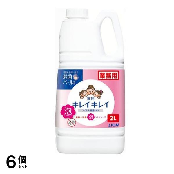 薬用泡ハンドソープ 業務用 2L 6個セット