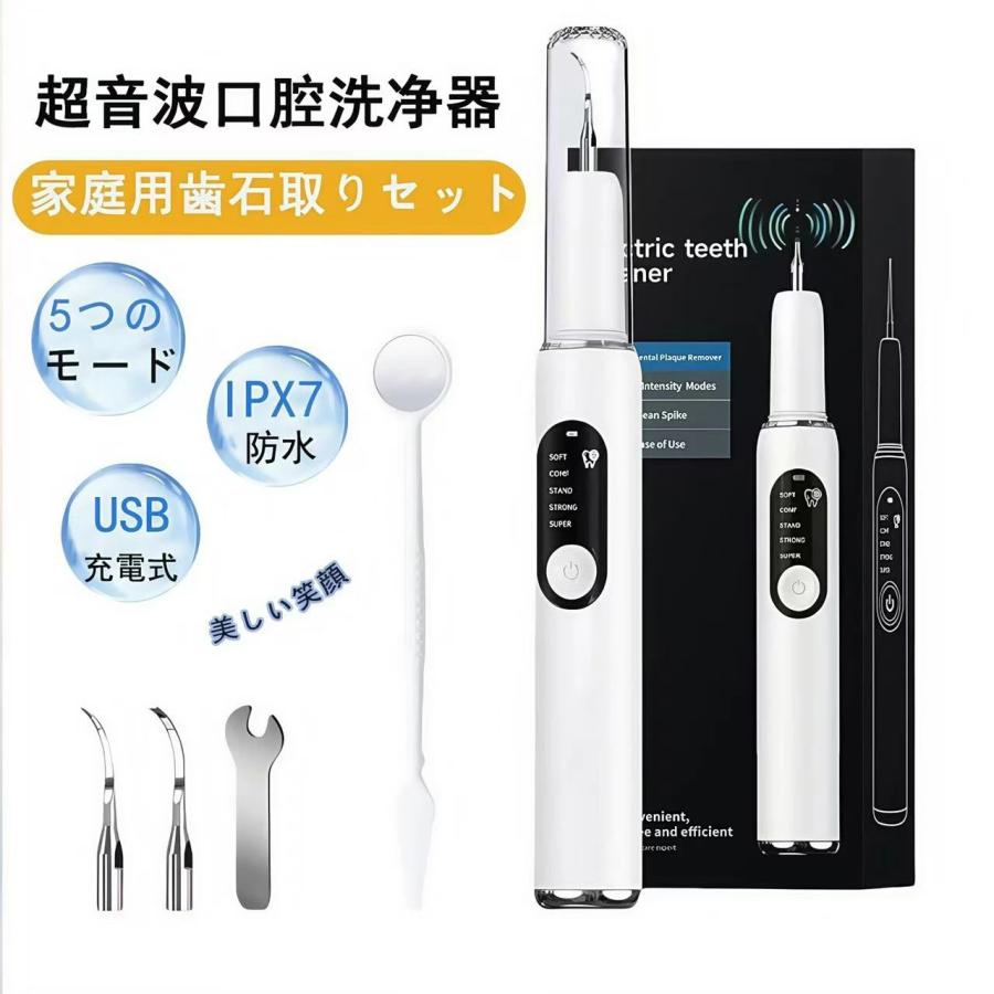 口腔洗浄器 超音波 歯石取り 器具 自分で 超音波 スケーラー 歯垢 歯石 歯口腔ケア 電気歯クリーナー USB充電 5つモード調節可能 口臭防止 歯周病予防