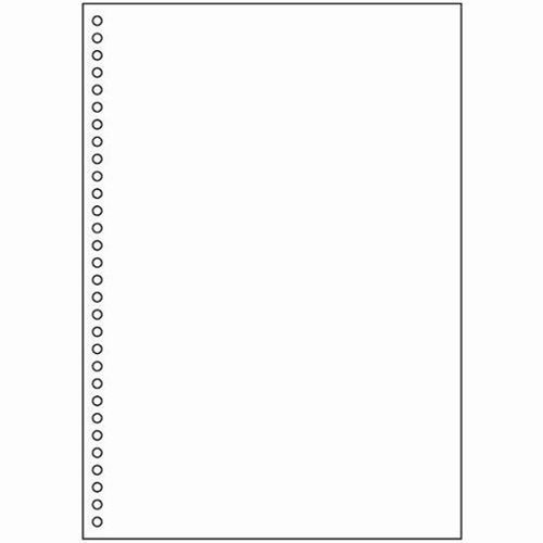 マルチプリンタ帳票（エコノミープライス）A4 白紙 30穴 2500枚 BPE2049