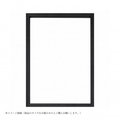 大額 BOXフレーム 7920 OA-B2 ブラック