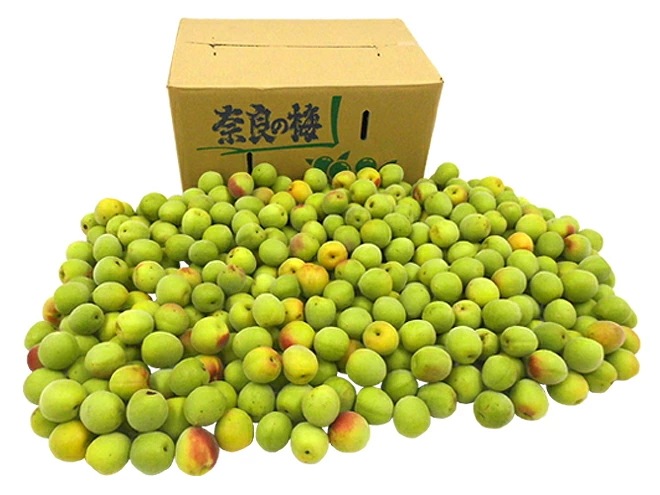 奈良/和歌山産 =南高梅= ちょっと訳あり L/2L 約10kg 予約 6月初旬以降