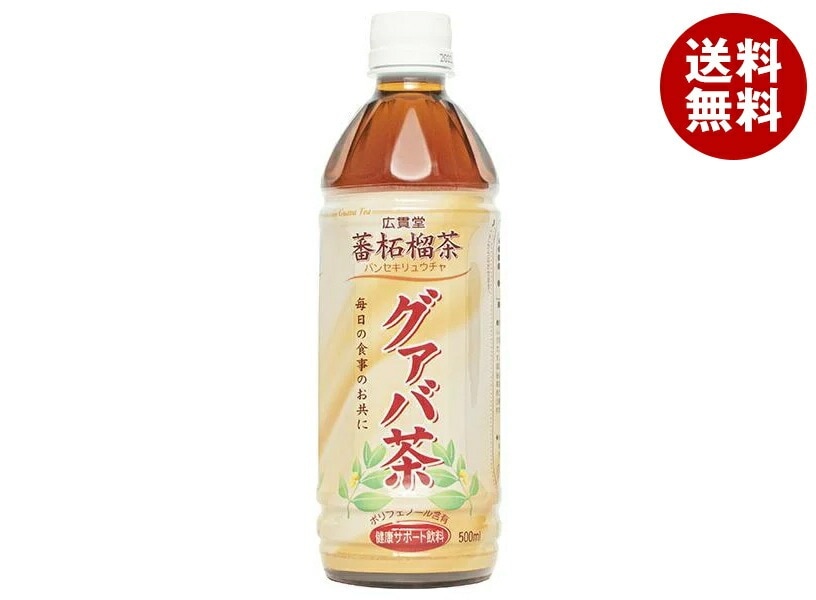 日本薬剤 グァバ茶 500mlPET×24本入×(2ケース)