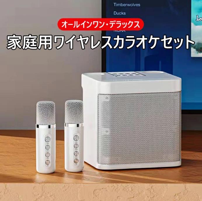カラオケ機器 ホームデュオ カラオケ ステレオ ワイヤレス Bluetooth デュアル マイク スピーカー&マイク in one 敬老の日 all