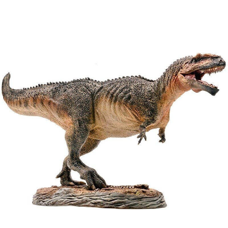 PNSO 1/35 サイズ ギガノトサウルス ジュラシック 大きい 肉食 恐竜 リアル フィギュア PVC プラモデル おもちゃ 科学 芸術 模型 プレゼント プレミアム 37cm級 ベース付き オリ