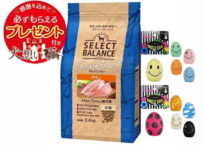 【プレゼント付】セレクトバランス グレインフリー アダルトチキン 小粒 2.4kg【スマイルエッグ付】ドライフード