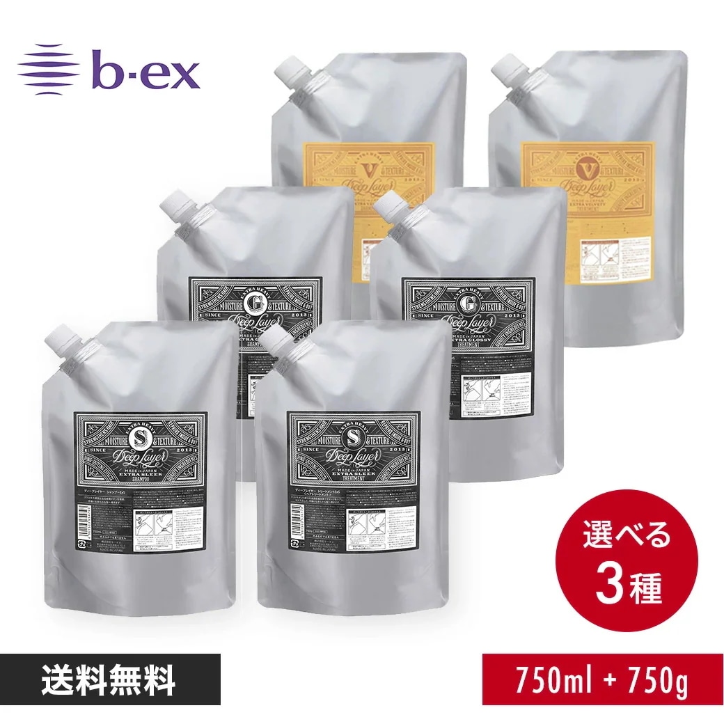 【選べる2点セット 750ml／正規販売店】ディープレイヤー シャンプー トリートメント 750g ExG ExS ExV 詰め替え DeepLayer 正規品 大容量 美容室専売 サロン専売品