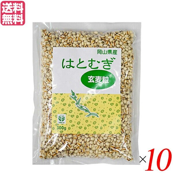 はと麦 はとむぎ はとむぎ玄麦粒 300g TAC21 10個セット