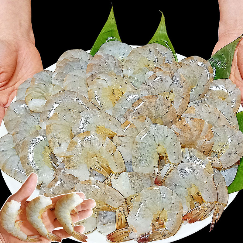 バナメイエビ 1.8kg(約72尾) 大容量 業務用 無頭殻付 可食部約8cm 冷凍ブロック 冷凍エビ えび 海老 エビフライ生鮮・貝類