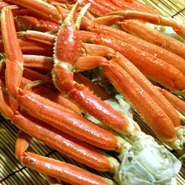 訳あり ボイル 本ズワイガニ 足 3kg 詰 ずわいがに脚