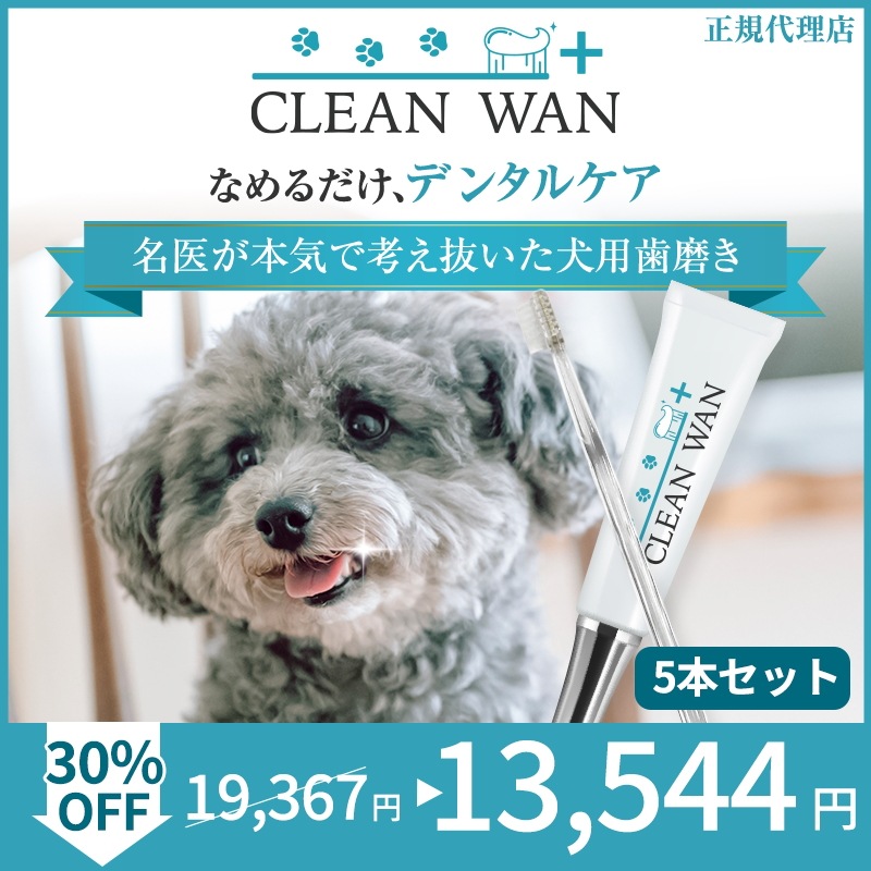 公式 CLEAN WAN クリーンワンジェル 6個セット 犬 歯磨き 歯磨き粉 デンタルケアジェル 犬用歯磨き粉 歯磨きジェル デンタルケア 犬口ケア 歯ブラシ 歯石 口臭 歯周病 ペット用歯磨き