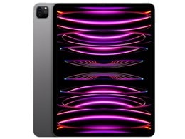 iPad Pro 12.9インチ 第6世代 Wi-Fi 2TB 2022年秋モデル MNXY3J/A [スペースグレイ]