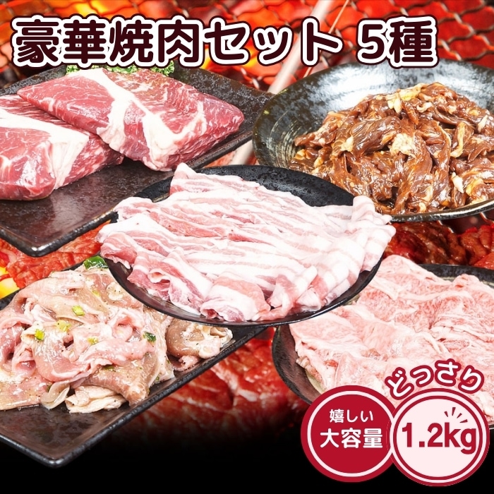 豪華焼肉セット 5種 1.2kg 佐賀牛カルビスライス 慶寿もち豚バラスライス 牛肩ロースステーキ タレ漬け牛ハラミ ねぎ塩タレ漬け豚タン 牛・豚食べ比べ バーベキュー ギフト お歳暮 お中元
