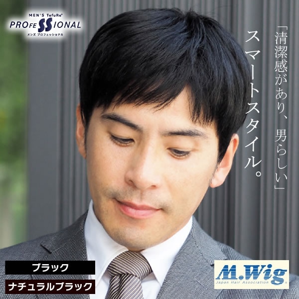 TefuRe 男性用ウィッグ スマートショート [DS-PTMEN-M10] (全国一律送料無料) ウィッグ フルウィッグ ウイッグ かつら 白髪隠し ボリュームアップ 薄毛対策 つけ毛 男性用