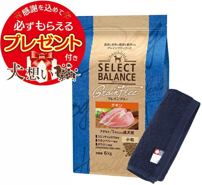 セレクトバランス グレインフリー アダルトチキン 小粒 6kg【犬想いオリジナル今治ハンドタオルセット】【タオルカラー ネイビー】【正規品】