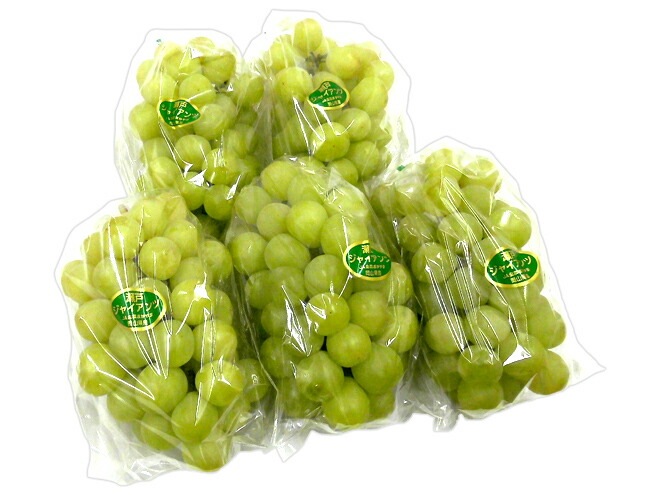 岡山産 =瀬戸ジャイアンツ= 秀品 大房限定 3-6房 約3kg ぶどう[B2] 予約 9月以降