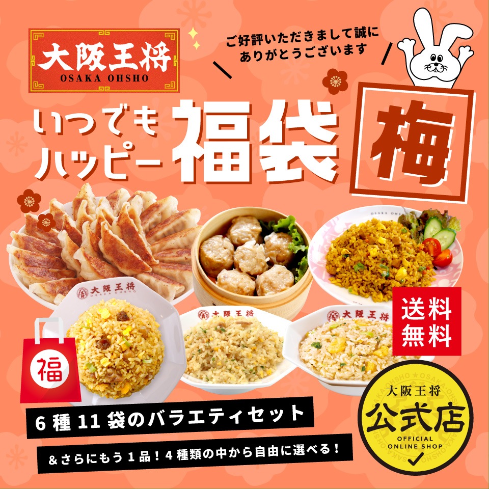 大阪王将いつでもハッピー福袋　梅　/送料無料 冷凍食品 冷凍餃子 お弁当 テレワーク ギフト 仕送り お取り寄せ
