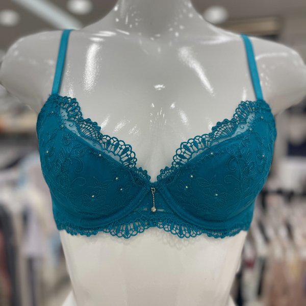 洗練されたスキャロップアーチ刺繍ポイントレースブラ/BR980A TKGR