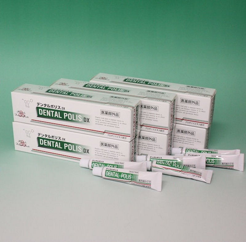 デンタルポリスDX　４８０ｇ（６本）+４８g(サンプル)　　　　医薬部外品　歯みがき
