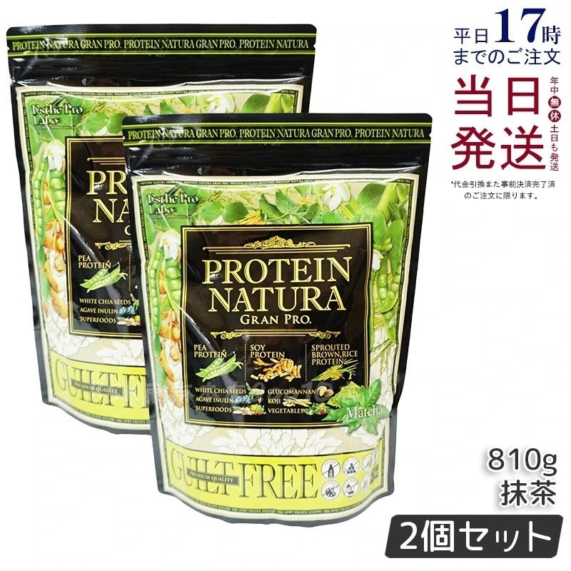 【2個セット】エステプロ・ラボ プロテイン ナチュラ グランプロ 抹茶 20袋 100％植物性プロテイン 無添加設計
