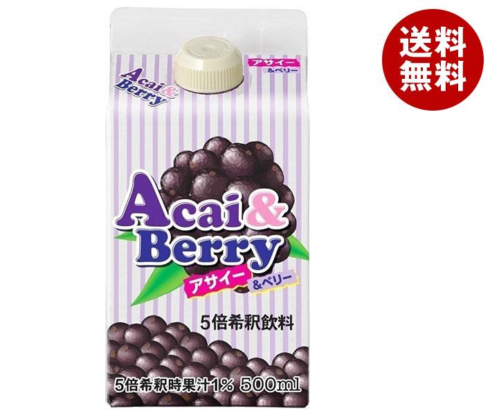 ジーエスフード GS アサイー&ベリー 500ml紙パック＊12本入