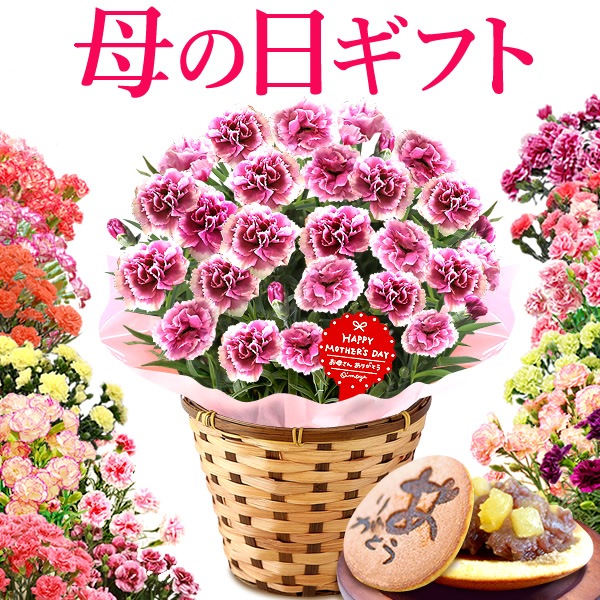 母の日 22 プレゼント ギフト おしゃれ 花 鉢植え 贈り物 スイーツ カーネーション 無料 お花